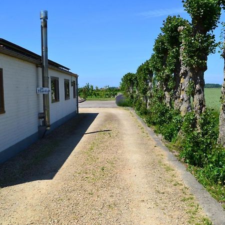 Vakantiehuis De Maretak Vlakbij Brugge & De Kust Meetkerke Ngoại thất bức ảnh